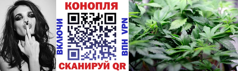 Купить А ПВП  Бутират  Канабис  Кокаин  Меф  Псилоцибиновые грибы  Ахтубинск