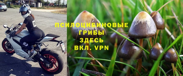 apvp Армянск