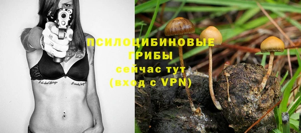 apvp Армянск